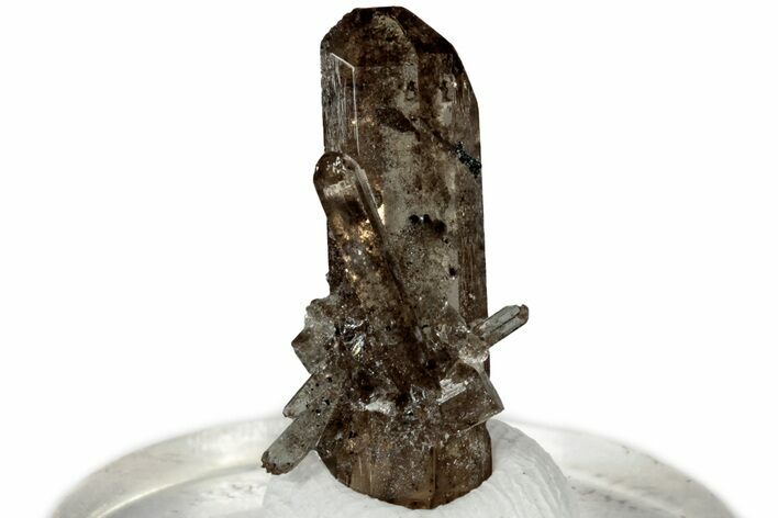 Lustrous Champagne Topaz Crystal Cluster - Utah #309286